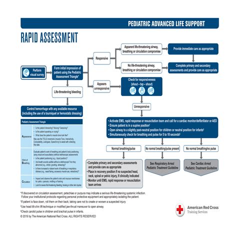 The schema definitions can encode itself through reflection. PALS Treatment Guidelines | Red Cross Store