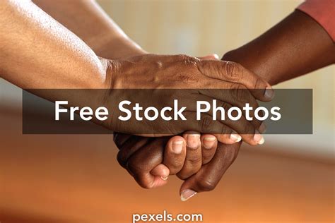 200 Engaging Volunteers Photos · Pexels · Free Stock Photos
