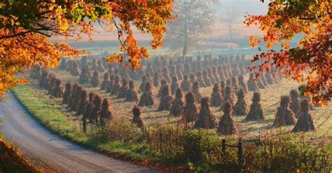 2015 October Amish Country In Ohio By Doyle Yoder Amish Country