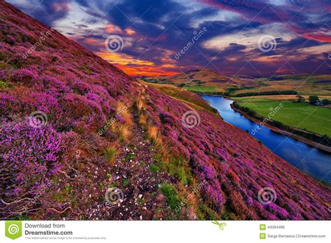 Beautiful Landscape Of Scottish Nature Stock Photo Image