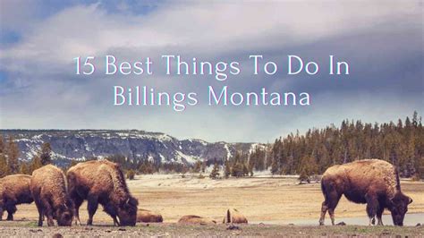 15 Best Things To Do In Billings Montana April 2024