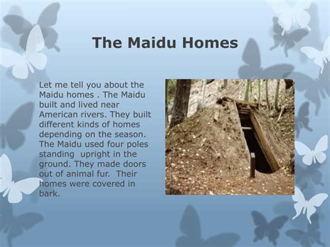 Ppt The Maidu Tribe A California Native American Tribe Powerpoint