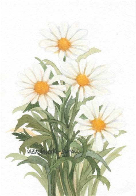 White Daisies Original Watercolor Painting By Wandazuchowskischick China Painting