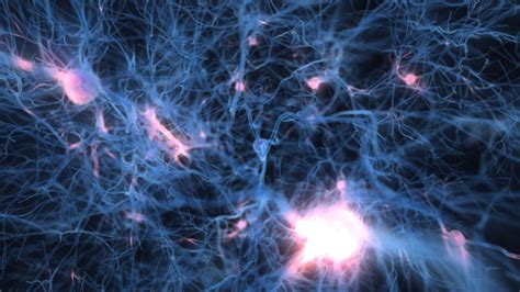 Neurons Wallpapers Wallpaper Cave