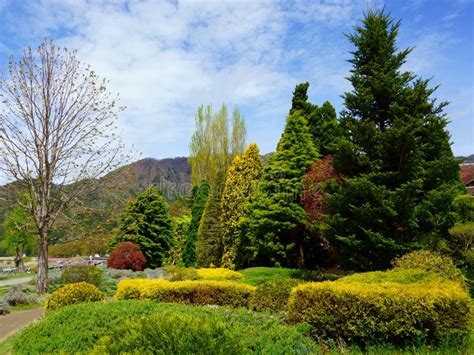 Freeway traffic gets congested due to road works. Landscaping, Park Area Along The Road At Kawaguchi Lake ...