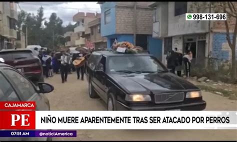 Cajamarca Niño Muere Aparentemente Tras Ser Atacado Por Perros