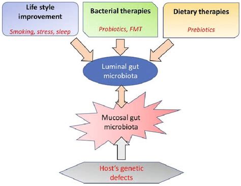 Factors Affecting Gut Microbiota Download Scientific Diagram
