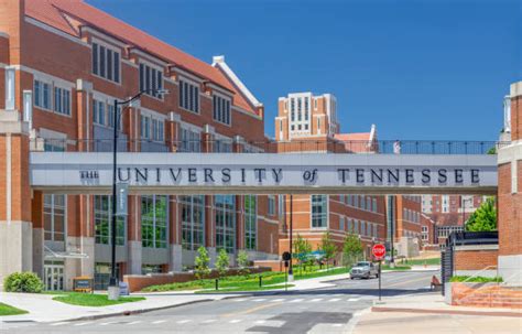 350 University Of Tennessee Stock Photos Pictures And Royalty Free