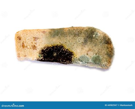 Moldy Bread Stock Image Image Of Crust Rotting Rubbish 44982947