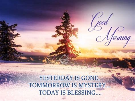 Good Morning Yesterday Is Gone Tommorrow Is Mystery Today Is Blessing