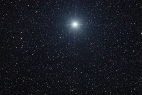 The Brightest Star In The Sky Sirius New Forest