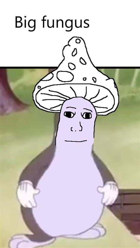 Big Fungus Shroomjak Mushroom Wojak Know Your Meme