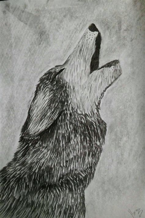 Crying Wolf By Ladyblackarachnid On Deviantart