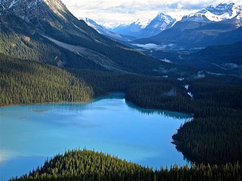 Lago Peyto Alberta Canadá De Foto Gratis En Pixabay
