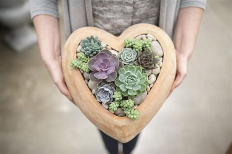 Heart Succulent Planter At West Coast Gardens In Surrey Bc Succulents