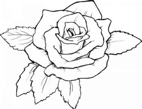 Get free printable coloring pages for kids. Get This Free Roses Coloring Pages for Adults to Print 12490