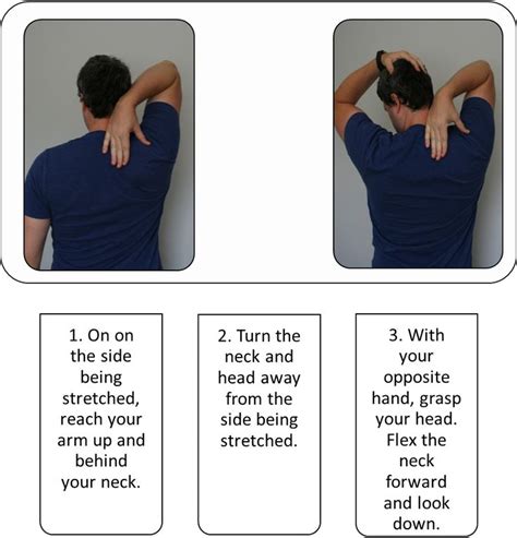 Stretching Guide: Levator Scapulae | Heath and fitness, Daily stretches