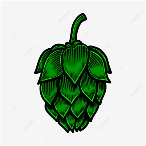 Beer Hop Clipart Hd Png Beer Hop Illustration Icon Brewery Art