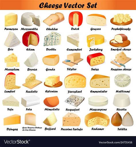 Set Of Different Types Of Cheese On A White Vector Image Types Of