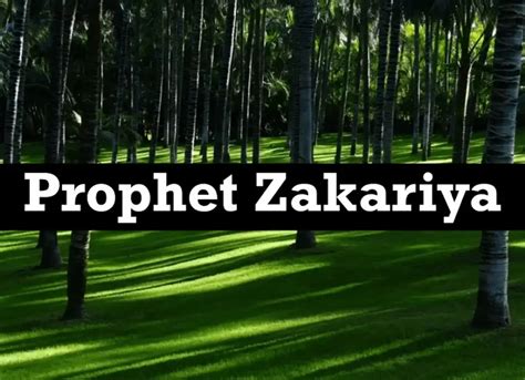Complete Story Of The Prophet Zakariya Quran Mualim