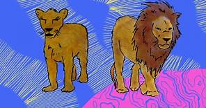 Frasier the Sensuous Lion