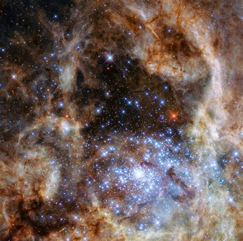 Mon Stars Cluster Of Massive Suns Spotted By Hubble Telescope Photo