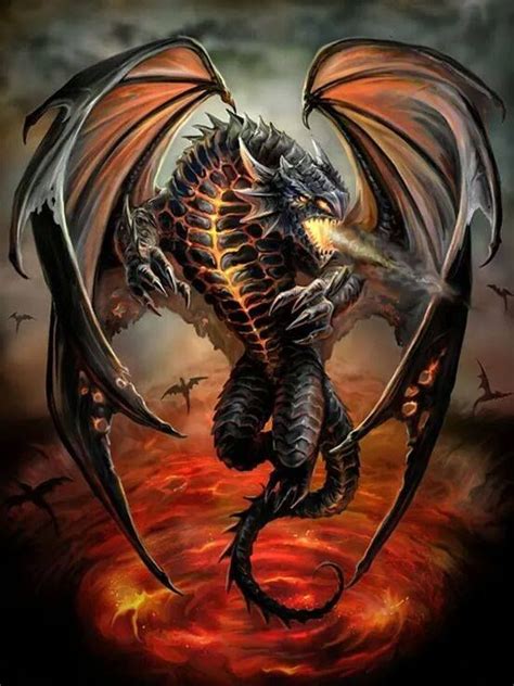 Dragon Noir Tornade De Feu