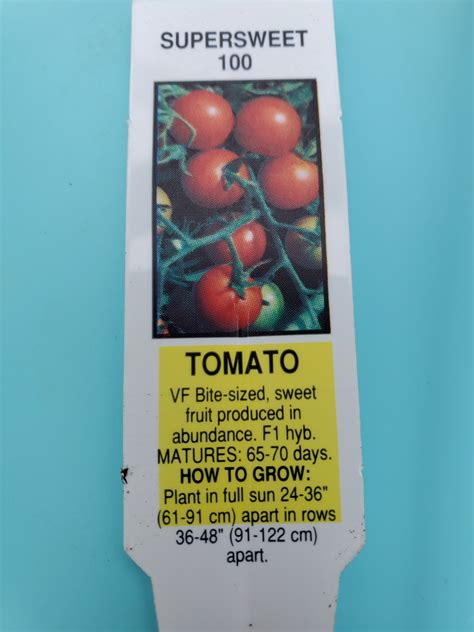 The plant is indeterminate and will need pruning. Tomato cherry super sweet 100 4 inch - Flowers by Sleeman