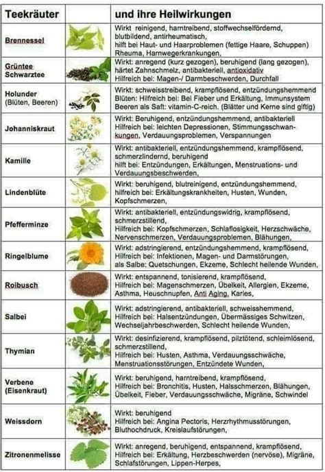Healing Herbs Medicinal Plants Natural Healing Little Gardens Eat