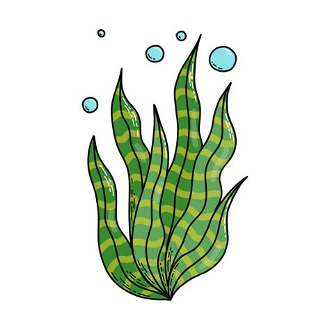 Cute Doodle Cartoon Sea Algae Vector Illustration 7793814 Vector Art