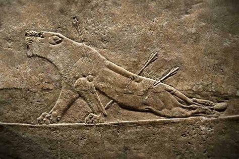 Pwp Assyrian Ashurnasirpal Lion Hunt Nineveh Relief