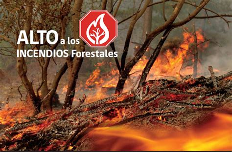 Arranca Cmd Campaña Contra Incendios Forestales 2017 El Mundo Digital