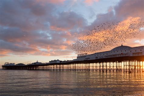 Brighton Pier And Starlings Starlings Flocking Around Brig Flickr