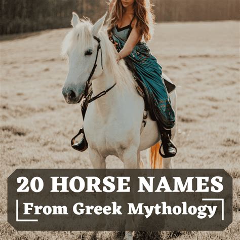 20 Legendary Names For Horses From Greek Mythology Pethelpful