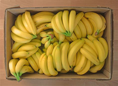 Visuals Banana Benefits Banana Food