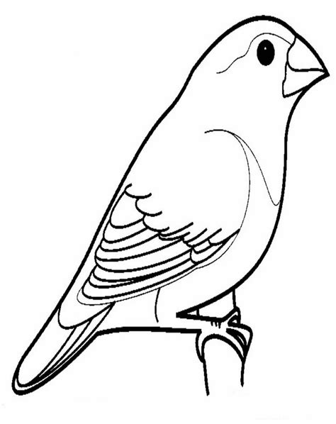 Gambar Mewarnai Burung Merak Arsip Radea