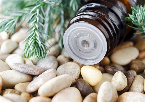 8 Amazing Benefits Of Pine Essential Oil Live Enhanced