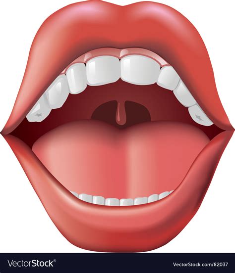 Open Mouth Royalty Free Vector Image Vectorstock