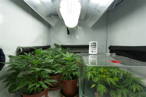 How To Build Your Own Grow Room While In Self Quarantine The