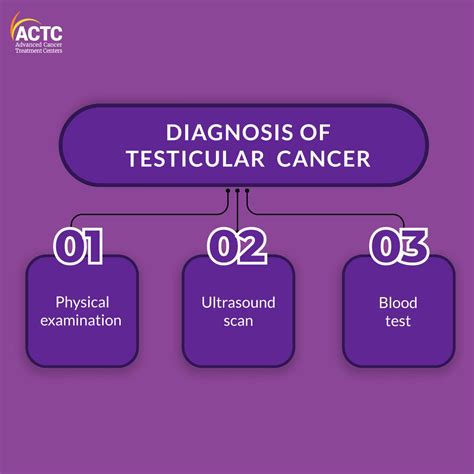 A Brief Guide To The Treatment Of Testicular Cancer Actc Blog