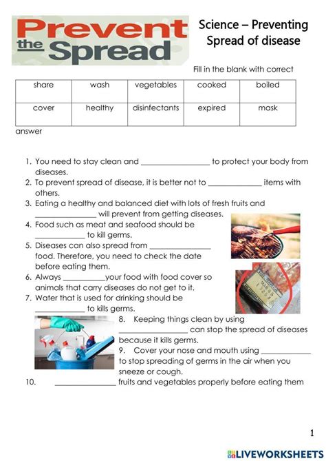 Preventing Spread Of Infectious Diseases Worksheet Live Worksheets