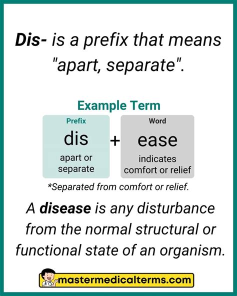 Medical Prefixes That Describe The Status Master Medical Terms