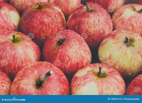 Sweet Fresh Ripe Red Apple Harvest Background Stock Image Image Of Delicious Apple 79587513