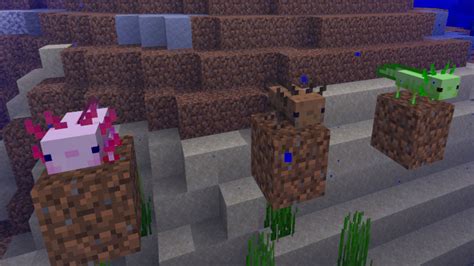Buff Axolotl Minecraft