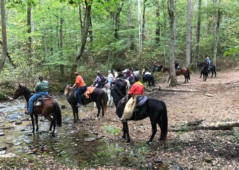 Mammoth Cave Horse Camp Horsetrailsofamerica