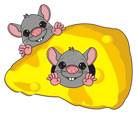 Deux Paires De Rats Illustration Stock Illustration Du Gris 90262489