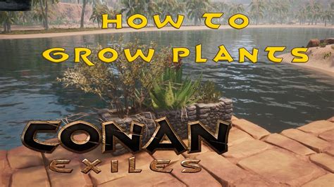 We did not find results for: Conan Exiles - How to grow plants and make compost - YouTube