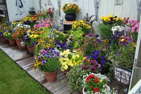 10 pretty container gardens that are perfect for any home photos huffpost