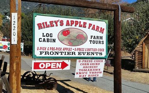 Oak Glen Day Trip U Pick Apple Orchards Things To Do