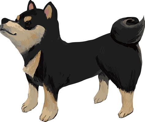 Shiba Inu Black Haired Mameshiba Sideways Real Illustration Material